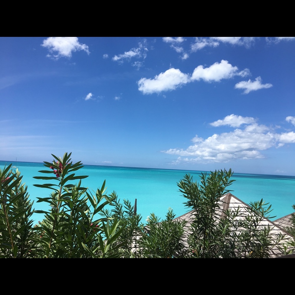 Meet your Posher, Daina